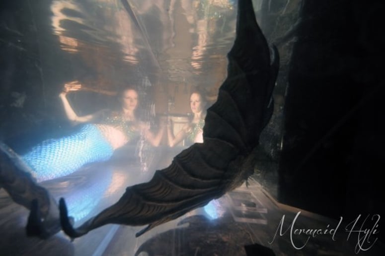 Gallery photo 3 of NC Merfolk, LLC