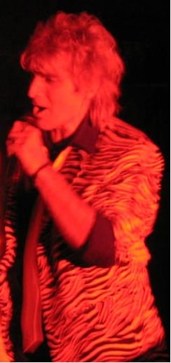 Gallery photo 3 of (Nearly) Rod Stewart