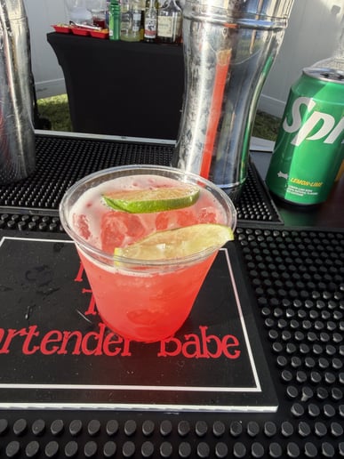 Gallery photo 2 of NeNe the Bartender Babe, LLC