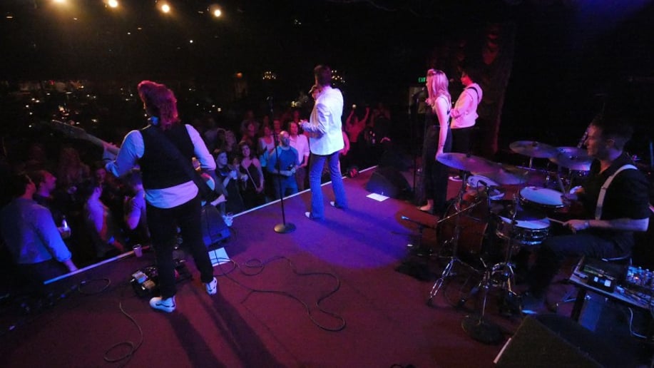 Gallery photo 4 of Neon Velvet