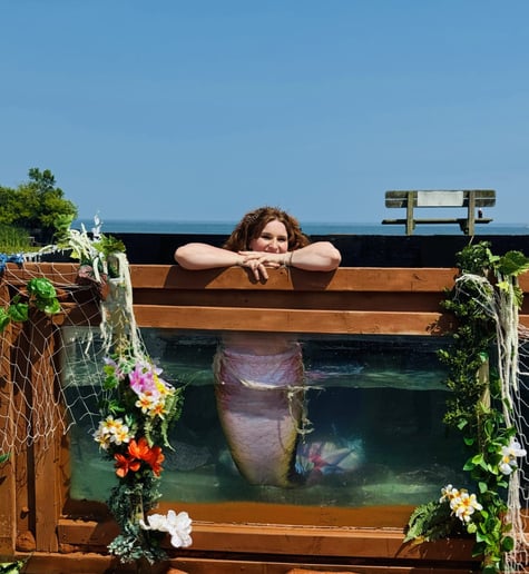 Gallery photo 10 of Neverland Entertainment