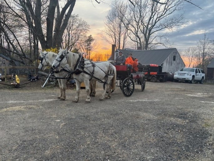 Gallery photo 5 of New England Carriage Company