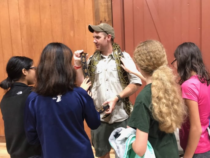 Gallery photo 3 of NJ Snake Man