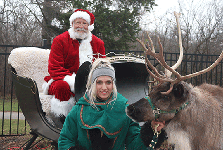 Gallery photo 4 of N.E.W. Santa Claus