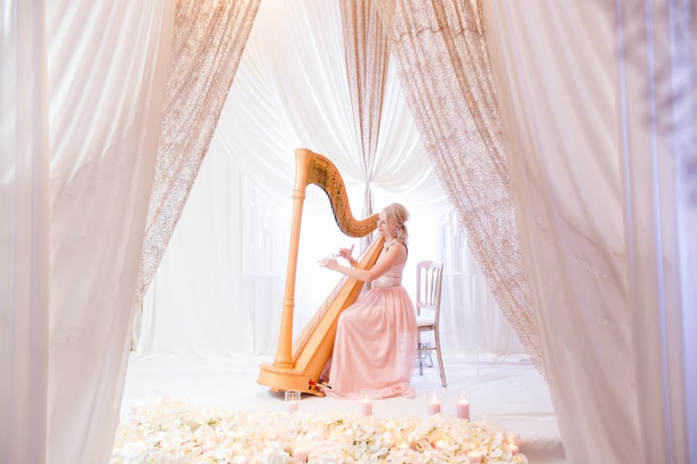 Gallery photo 2 of Nichole Young, Harpist