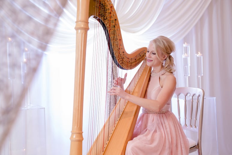Gallery photo 1 of Nichole Young, Harpist