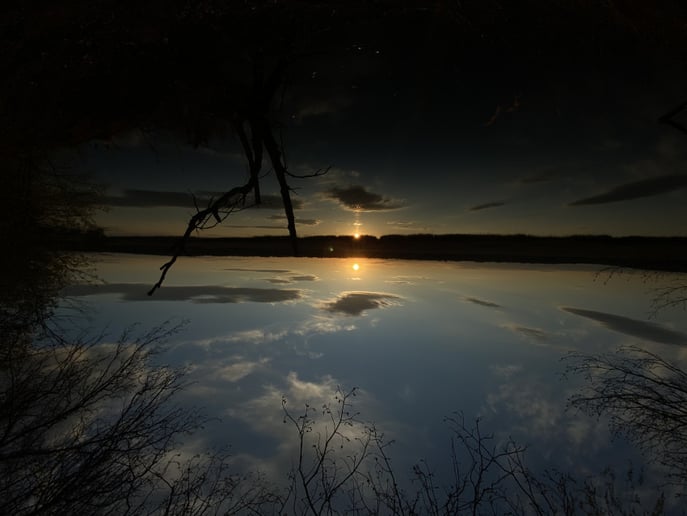 Gallery photo 6 of Nick Spiegel Photography