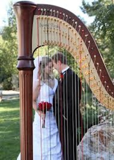 Gallery photo 1 of Nicole Kirkham Music