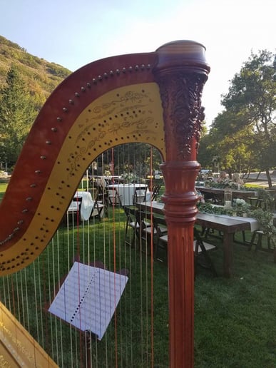 Gallery photo 2 of Nicole Kirkham Music