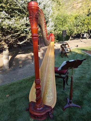 Gallery photo 3 of Nicole Kirkham Music