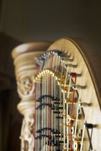 Gallery photo 2 of Nicole McAllister, Harpist