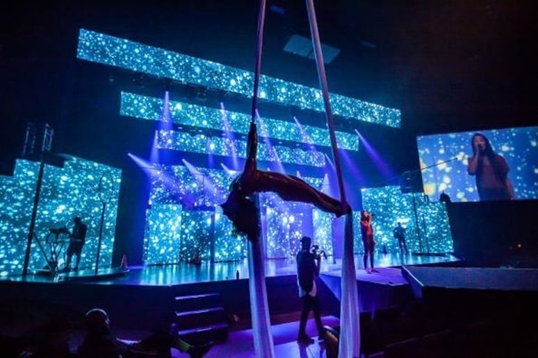 Gallery photo 4 of Nicole Sirdoreus - Aerial Dancer