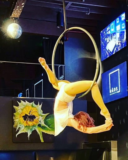 Gallery photo 5 of Nicole Sirdoreus - Aerial Dancer
