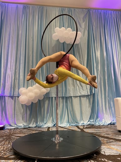 Gallery photo 7 of Nicole Sirdoreus - Aerial Dancer