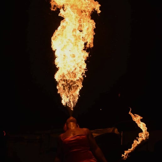 Gallery photo 3 of Nightfire Treasures