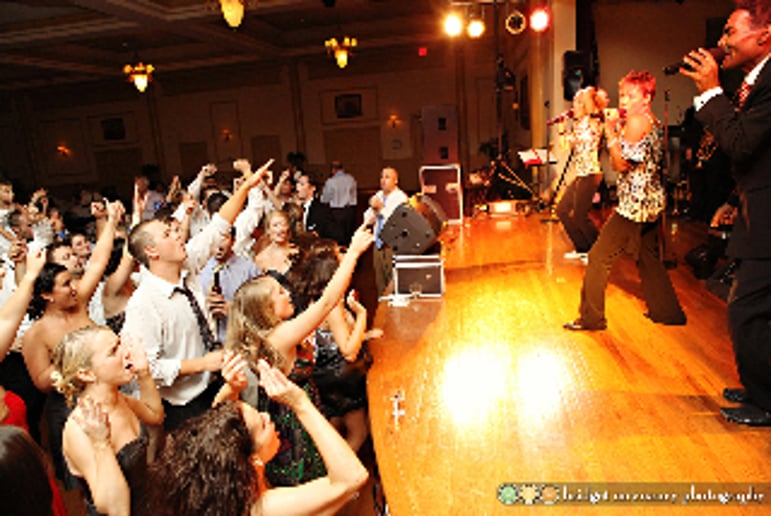 Gallery photo 2 of NightLife