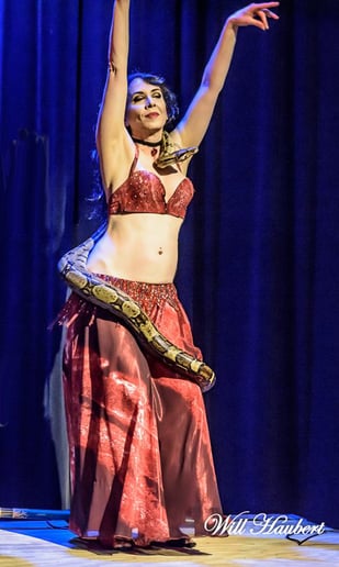 Gallery photo 9 of Nimeera