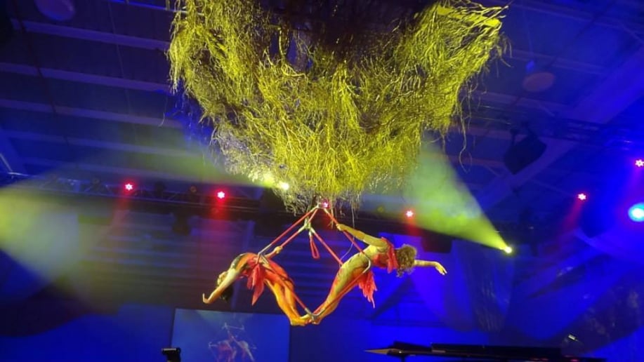 Gallery photo 6 of Nock Productions, The Nock Family Circus