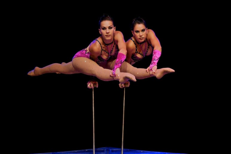 Gallery photo 7 of Nock Productions, The Nock Family Circus
