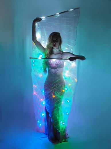 Gallery photo 32 of Nocturna Entertainment