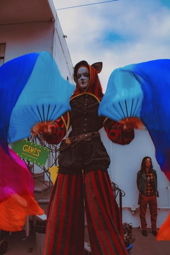 Gallery photo 7 of Noite