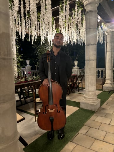 Gallery photo 2 of NoJo Cello