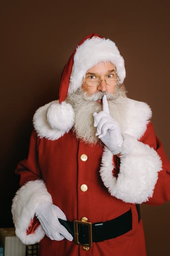 Gallery photo 2 of NOLA Santa