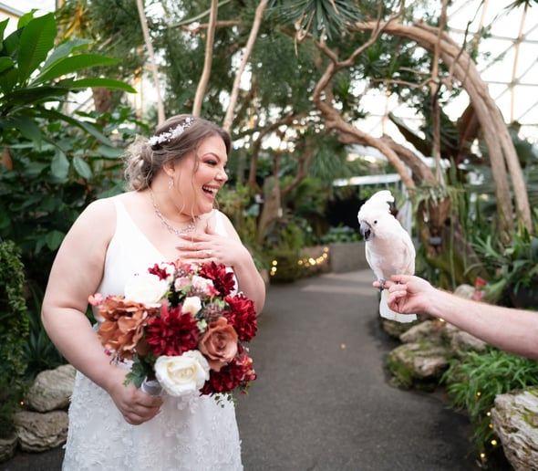Gallery photo 6 of Nora Varga Photography
