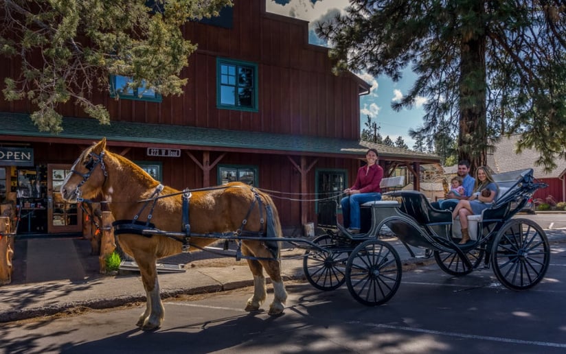 Gallery photo 4 of North Pine Carriage Company