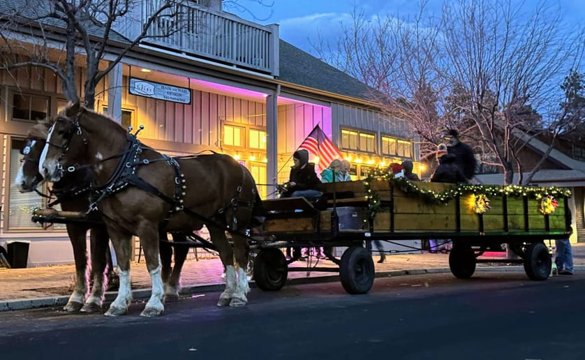 Gallery photo 1 of North Pine Carriage Company