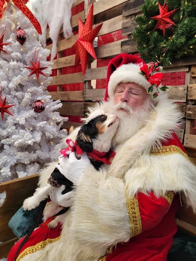 Gallery photo 3 of North Pole Santa
