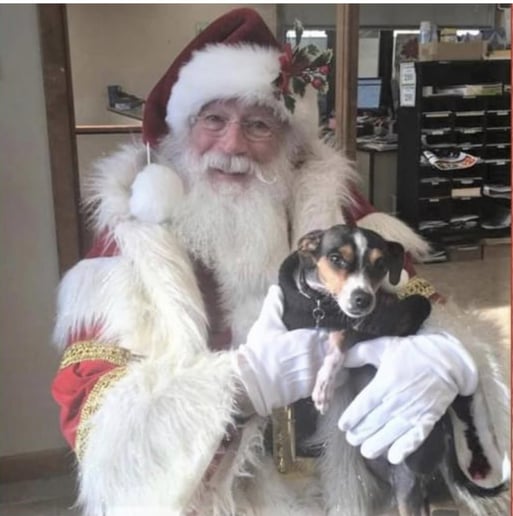 Gallery photo 5 of North Pole Santa