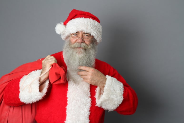 Gallery photo 9 of North Shore Santa