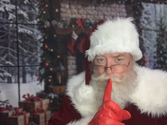 Gallery photo 2 of North Star Santa