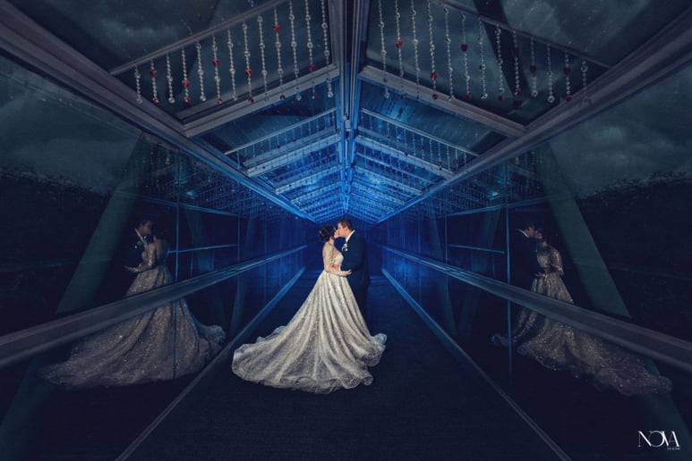 Gallery photo 1 of Nova Imagery