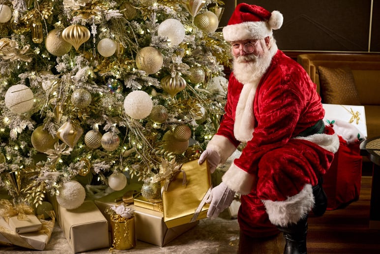 Gallery photo 8 of Nova Santa