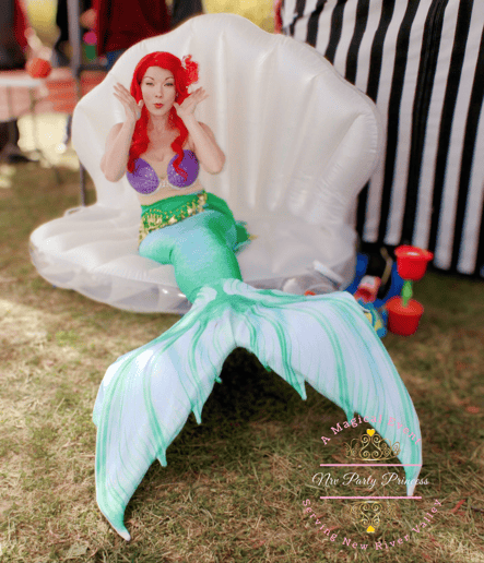 Gallery photo 2 of NRV Party Princess