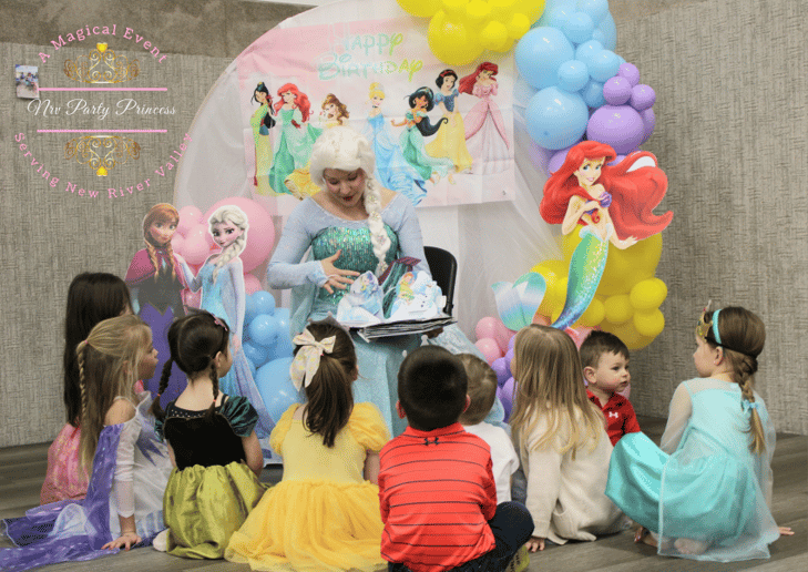 Gallery photo 3 of NRV Party Princess