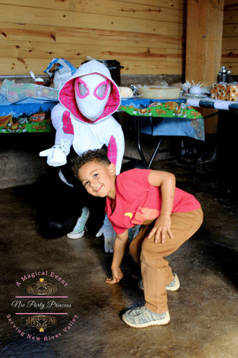 Gallery photo 4 of NRV Party Princess