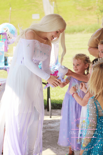 Gallery photo 8 of NRV Party Princess