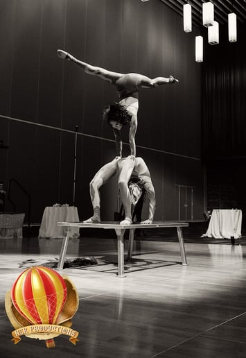 Gallery photo 7 of NZR Circus
