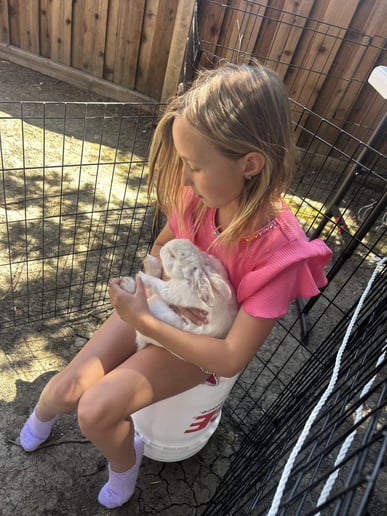 Gallery photo 5 of Oasis Family Ranch Petting Zoo