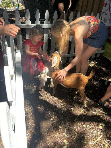 Gallery photo 7 of Oasis Family Ranch Petting Zoo