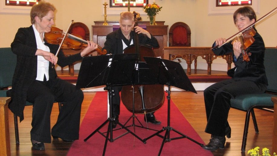 Gallery photo 4 of OBrien Strings