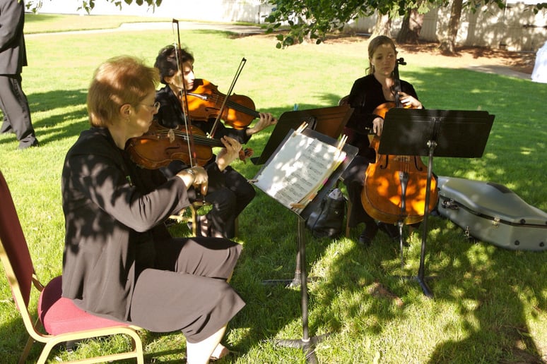 Gallery photo 2 of OBrien Strings
