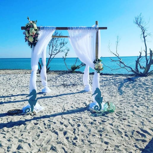 Gallery photo 8 of Ocean Breeze Party Rental