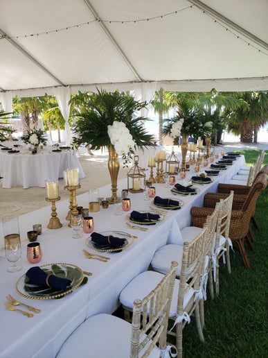 Gallery photo 7 of Ocean Breeze Party Rental