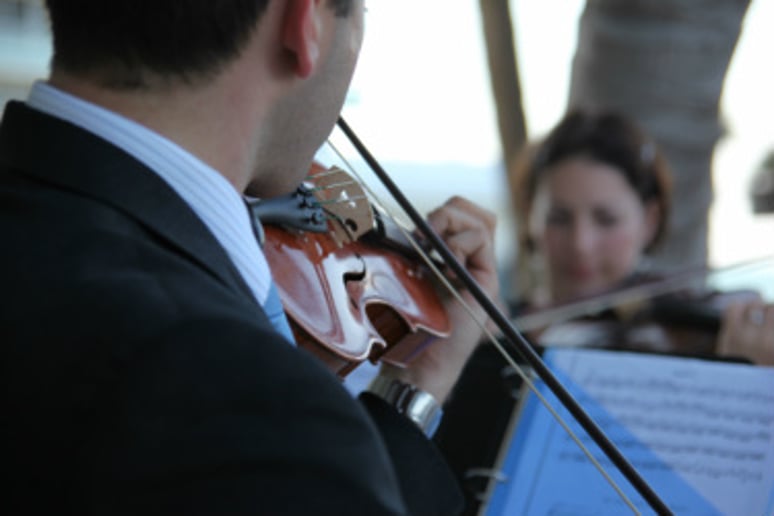 Gallery photo 5 of Ocean Strings