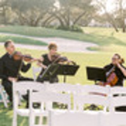 Gallery photo 6 of Ocean Strings
