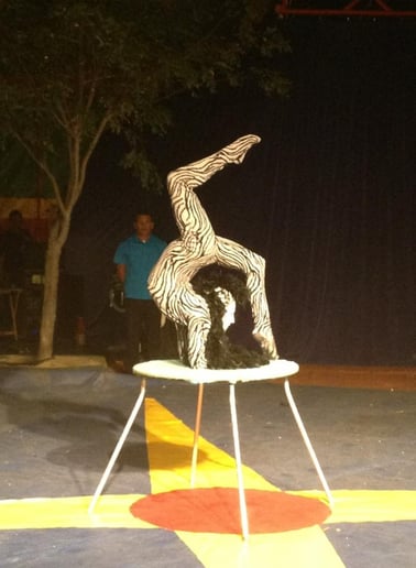 Gallery photo 1 of Odgerel Gombo